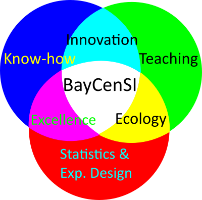 A Venn-diagram showing the key areas of expertise at the BayCenSI